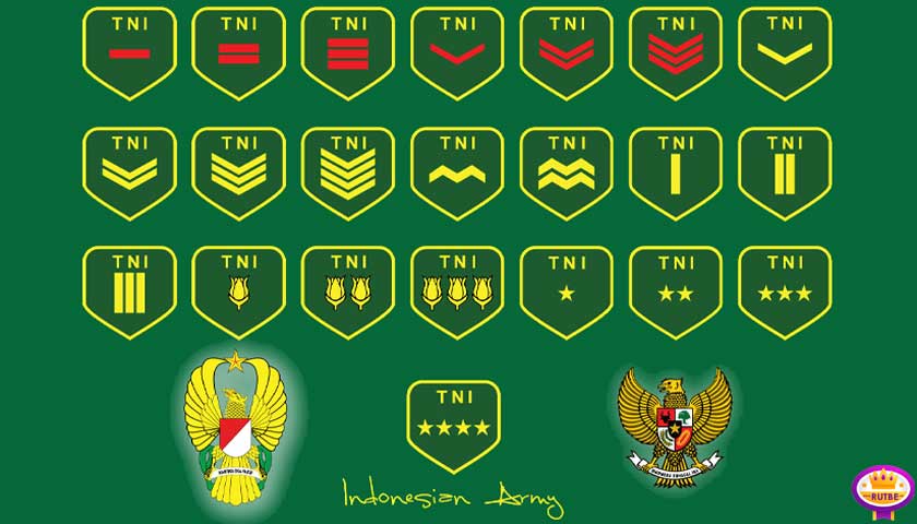 Endonezya Silahlı Kuvvetleri, TNI